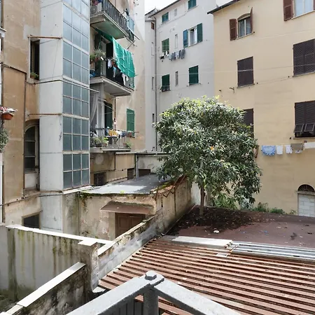 Matt House 2 La Spezia